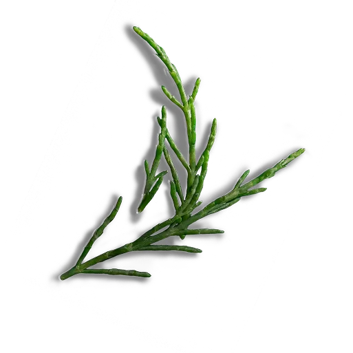 Decorative