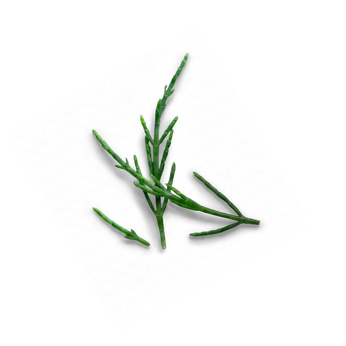 Decorative